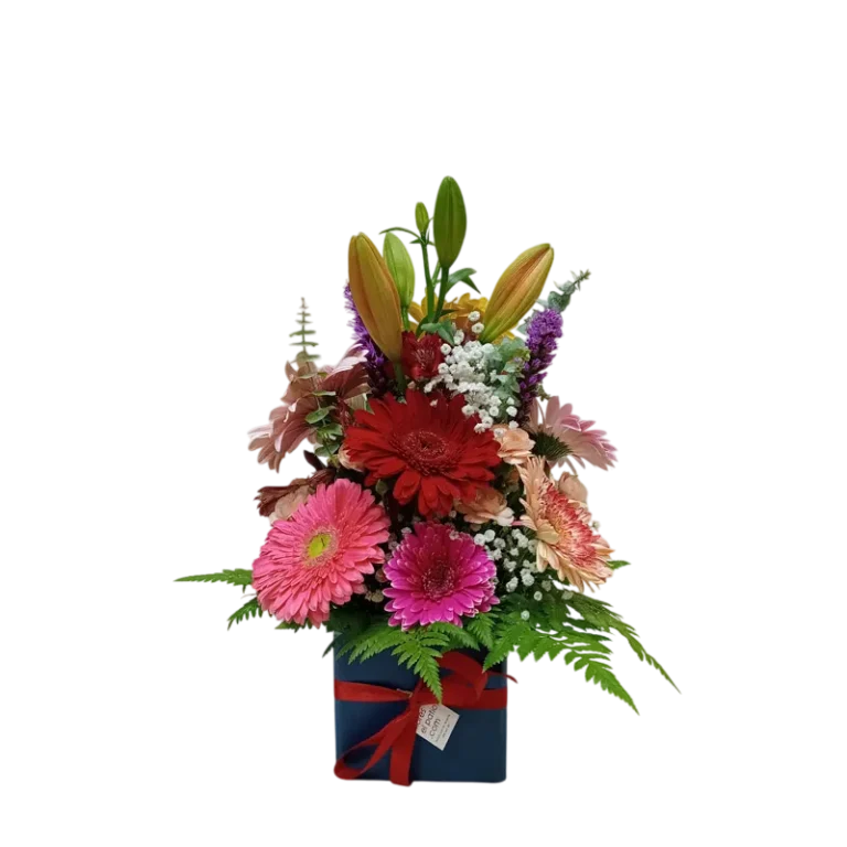 Caja gerberas lilium